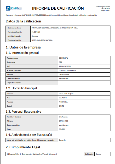 vista de reporte informe